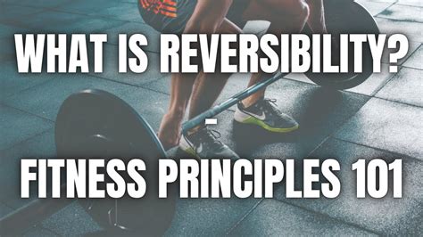 What is the Principle of Reversibility in Physical Education, and Why Does It Sometimes Feel Like Time Travel?